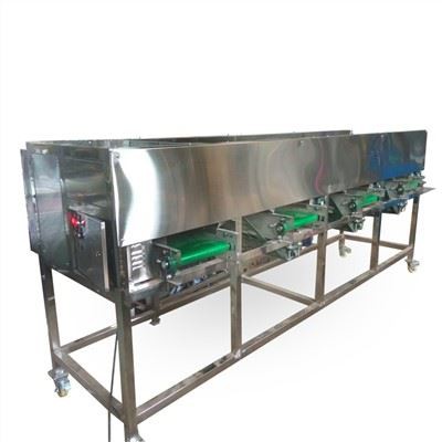 Automatinė svogūnų rūšiavimo mašina