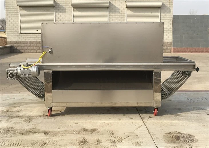 Chain Type Onion Peeling Machine