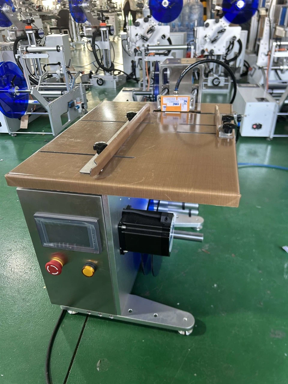 Carton Side Labeling Machine (1)