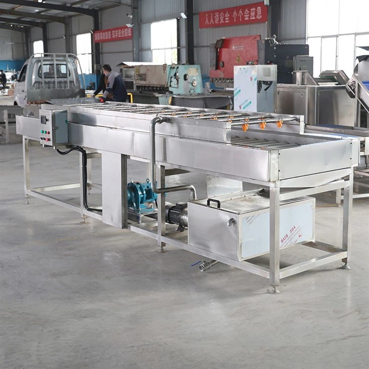 Fruit Vegetable Washing Drying Machine