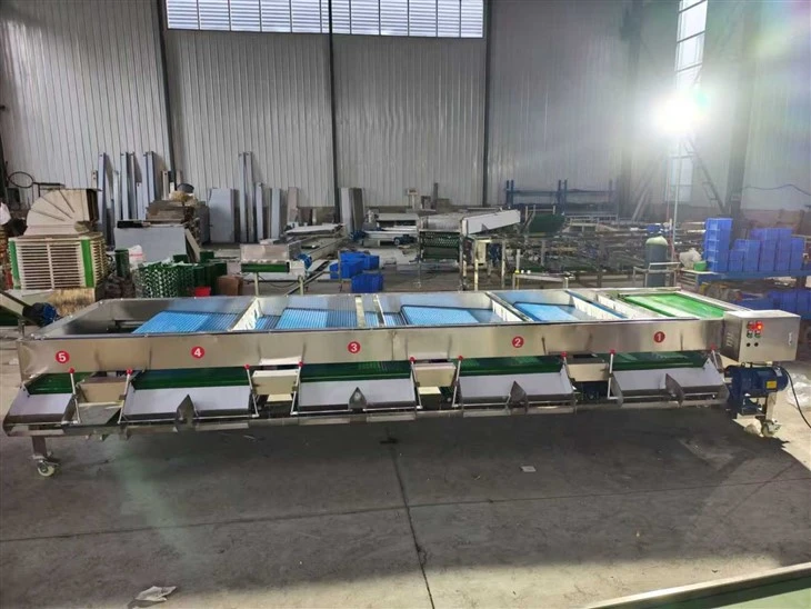 Grading Blueberry Sorting Machine best