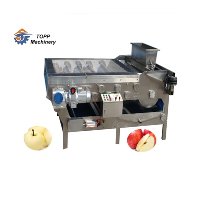 Juostinė vaisių sulčių spaudimo mašina